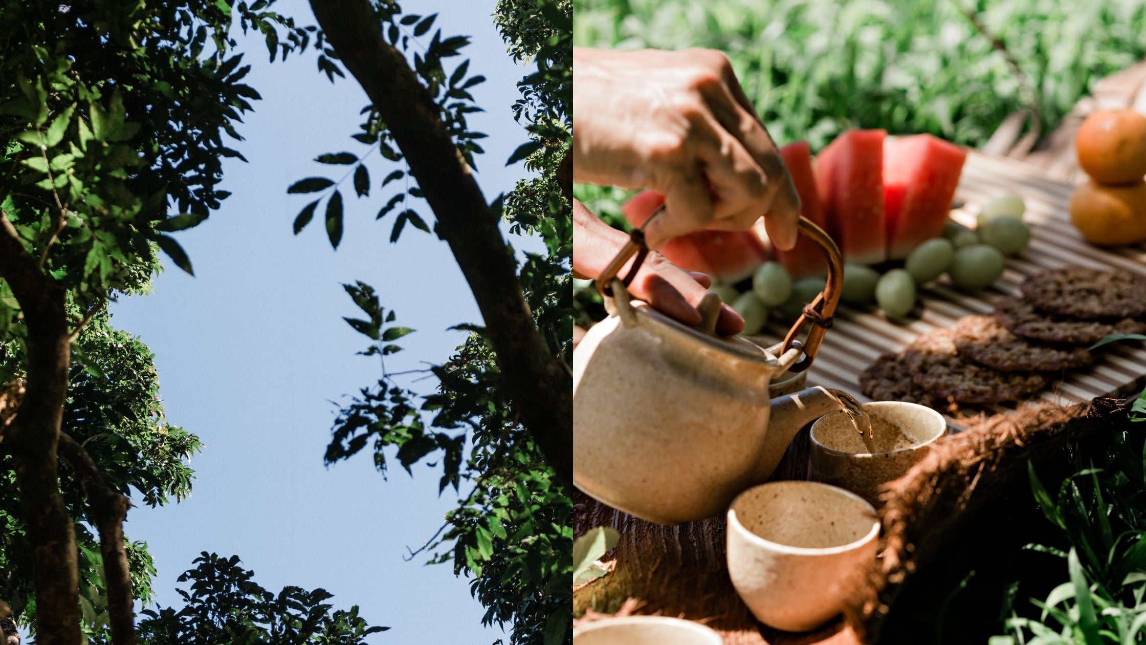 Die schenkenden Bäume